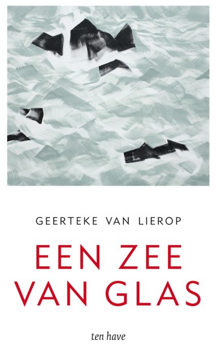 Lees meer over Een zee van glas