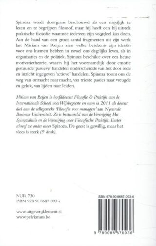 Spinoza in bedrijf - achterkant