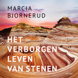 Het verborgen leven van stenen - cover